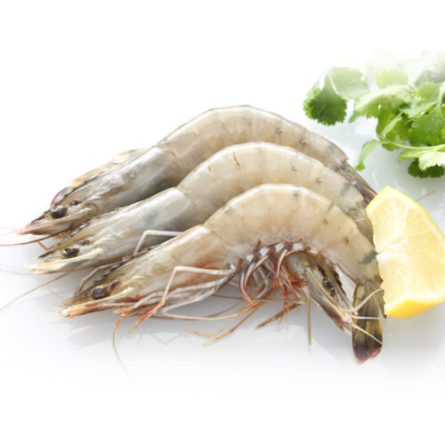 活凍中南美白蝦（20/30-850g）